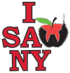 I Saw NY